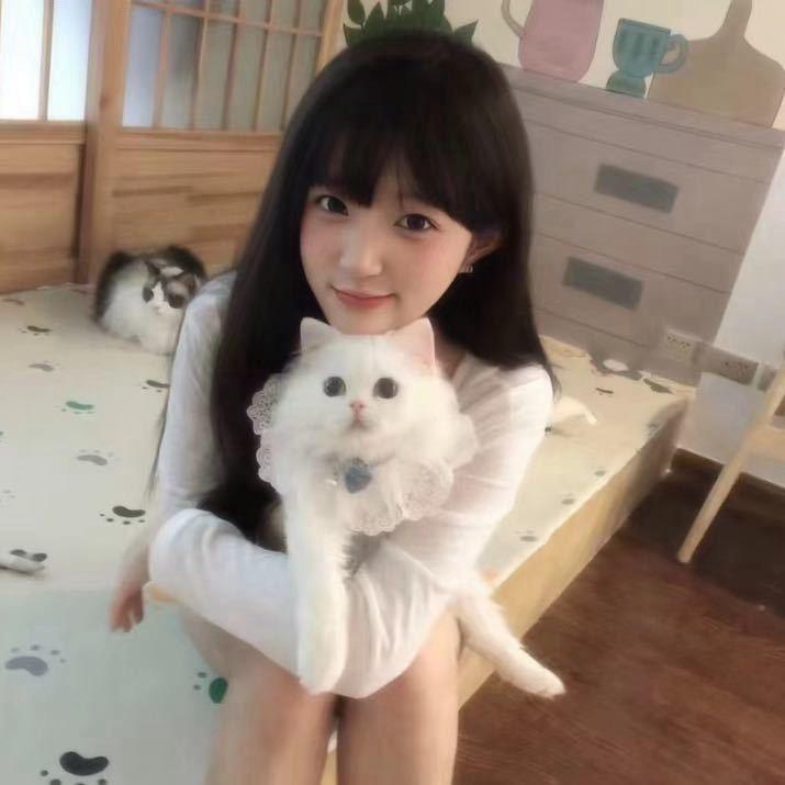 贝贝