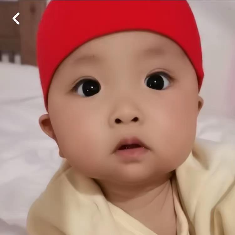 小多米和小玉米