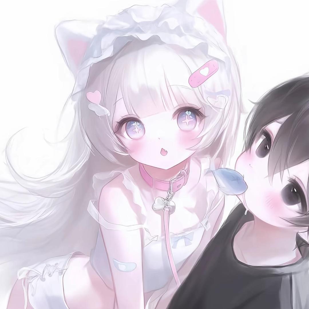 爱吃小猫