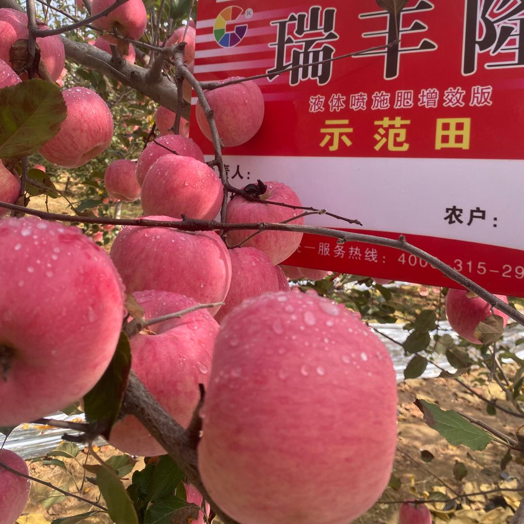 杰丰农业果树号