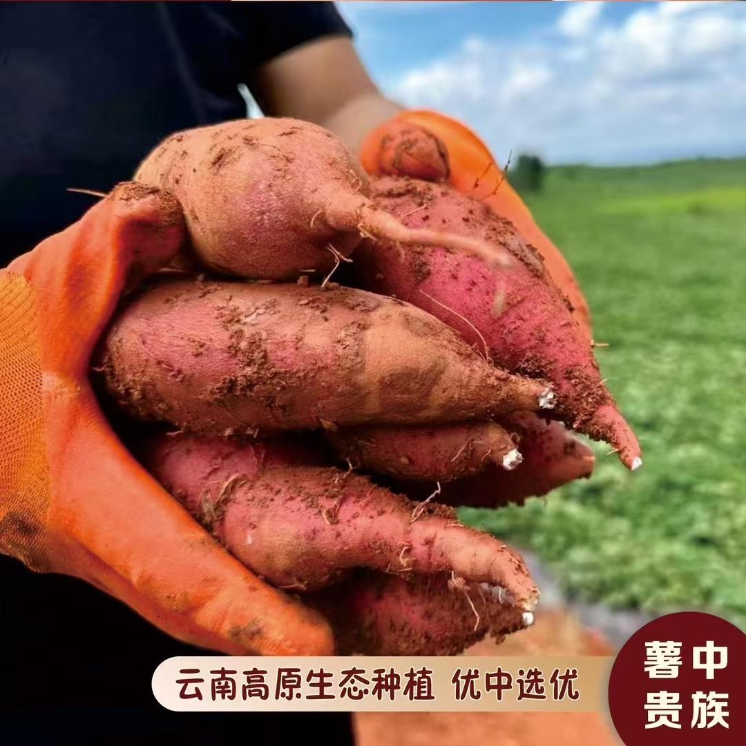 云南农品优选