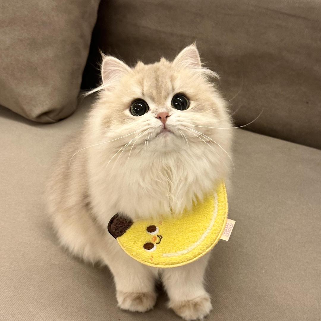 小赵今天也很开心