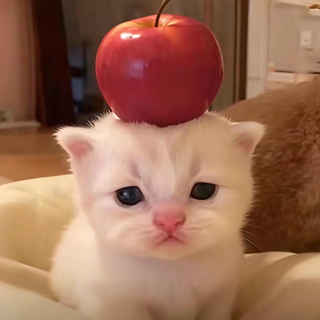 穆恩