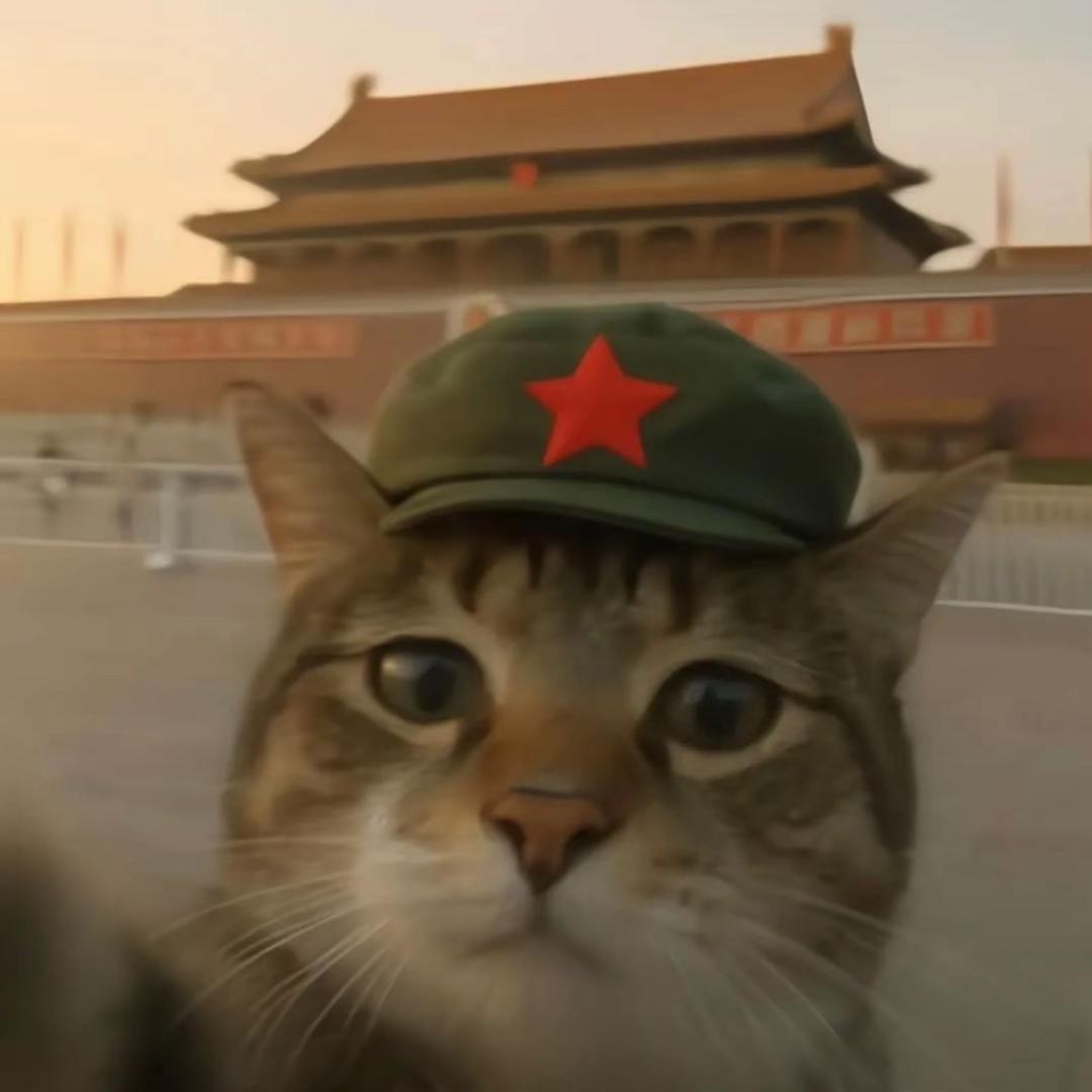 猛踹瘸子那条好🦵