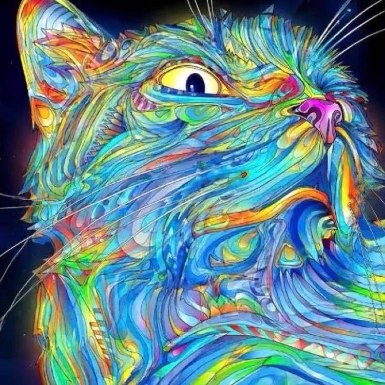 创意猫酱