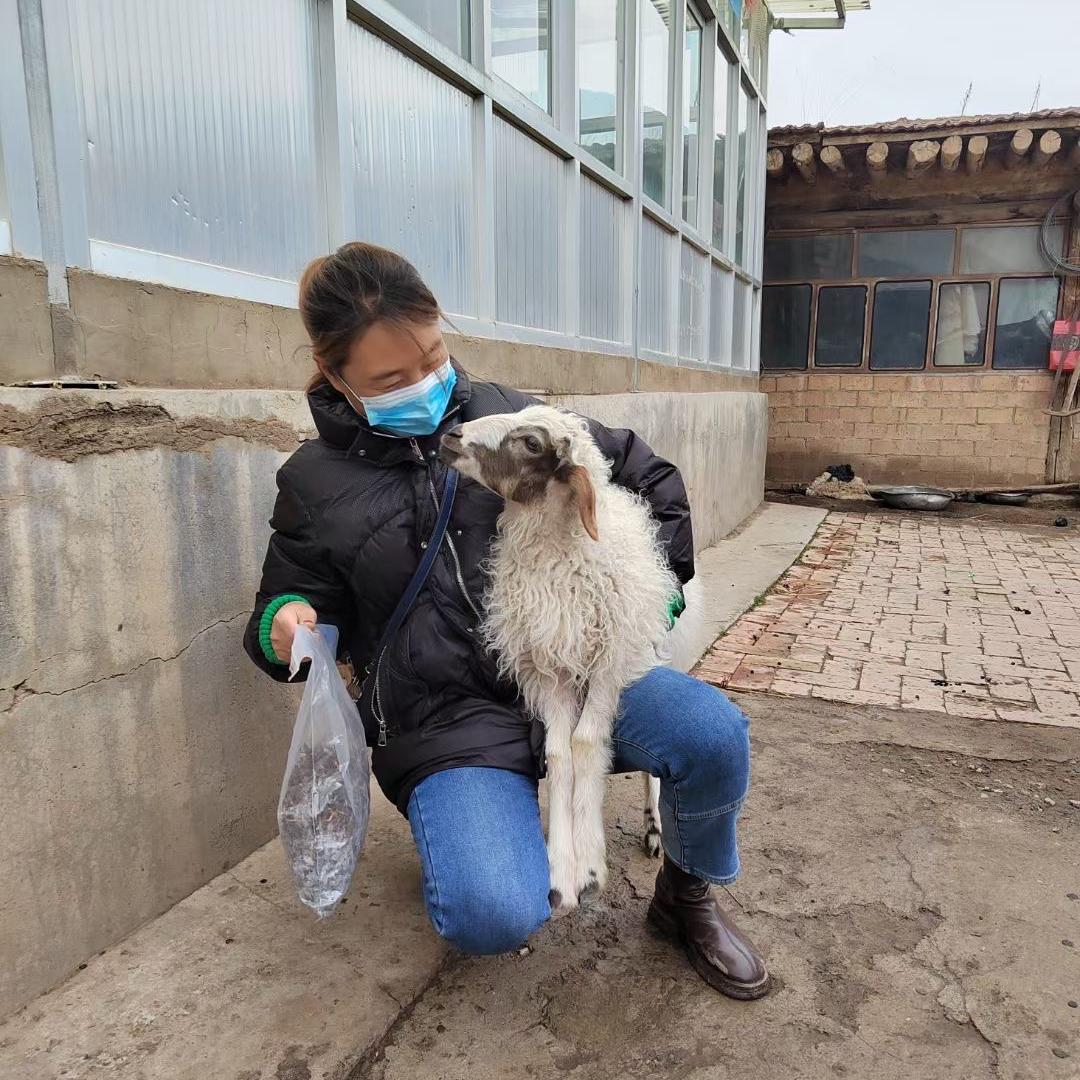 元族拓牌商贸专卖店