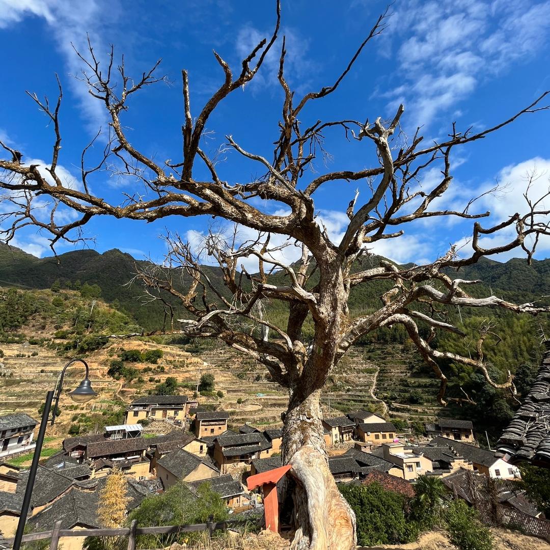山中秘境