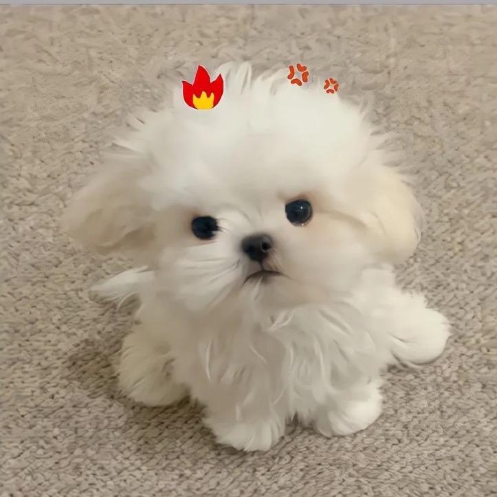 不喜欢早睡