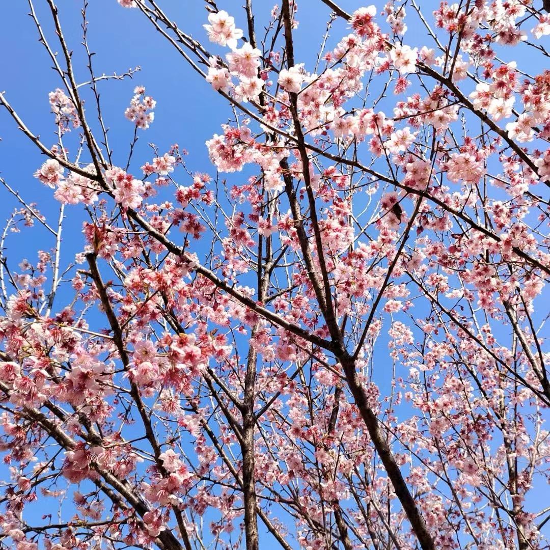 我依然(ᇂ_ᇂ|||)