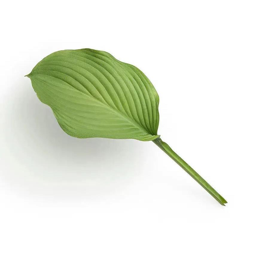 @糖