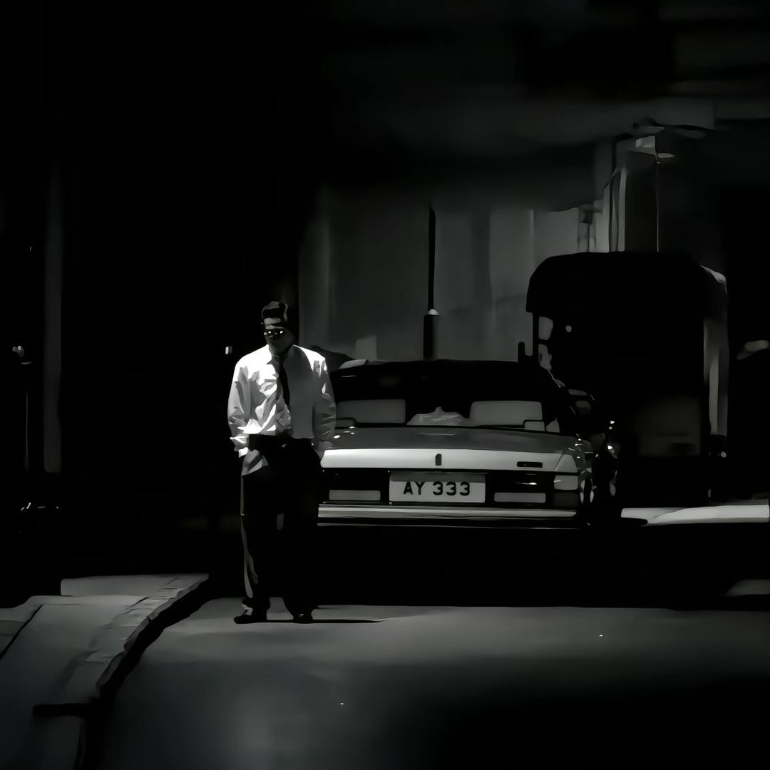 一颗不正常的木头🪵