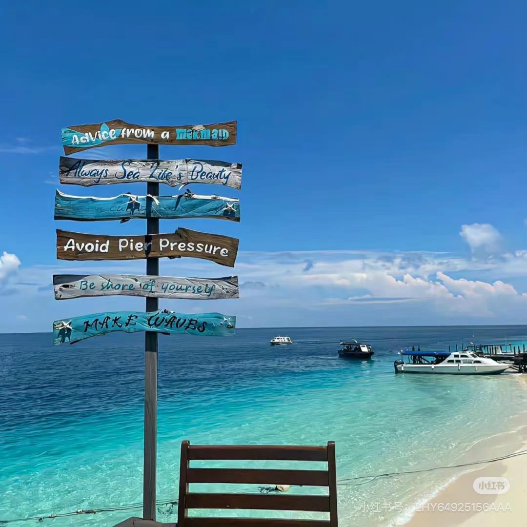 赞赞ZZ（首播）