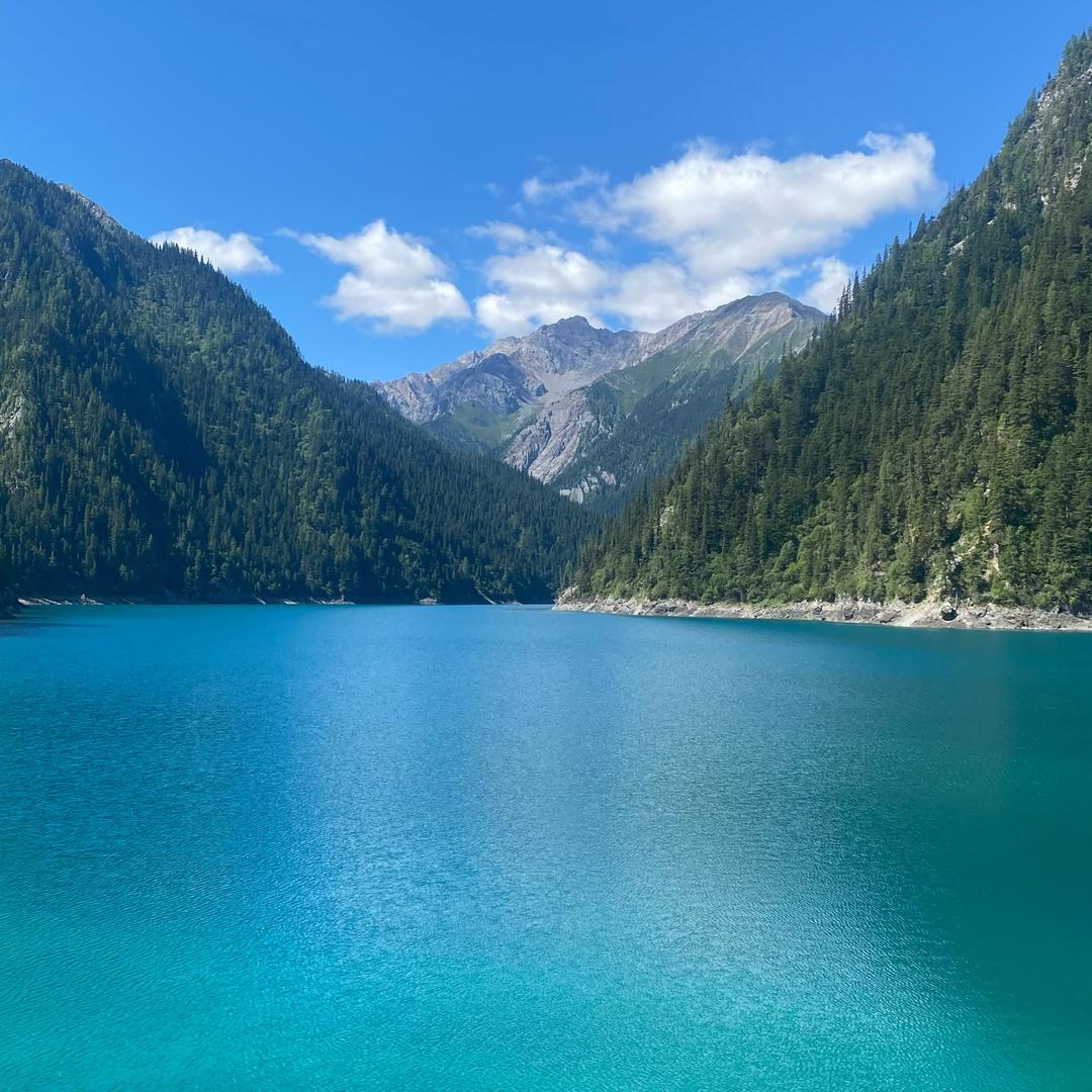 菜鸟老阿姨勇闯王者（不定时直播）