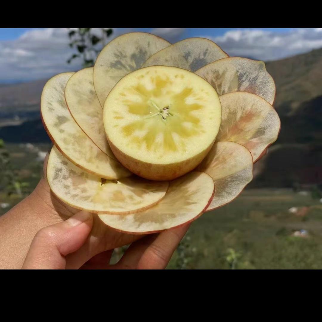 农夫👨‍🌾