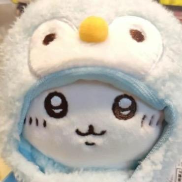 我睡觉的时候不困