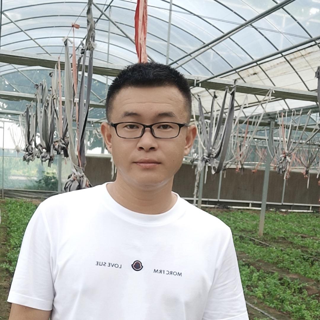 老梦讲农业🌾