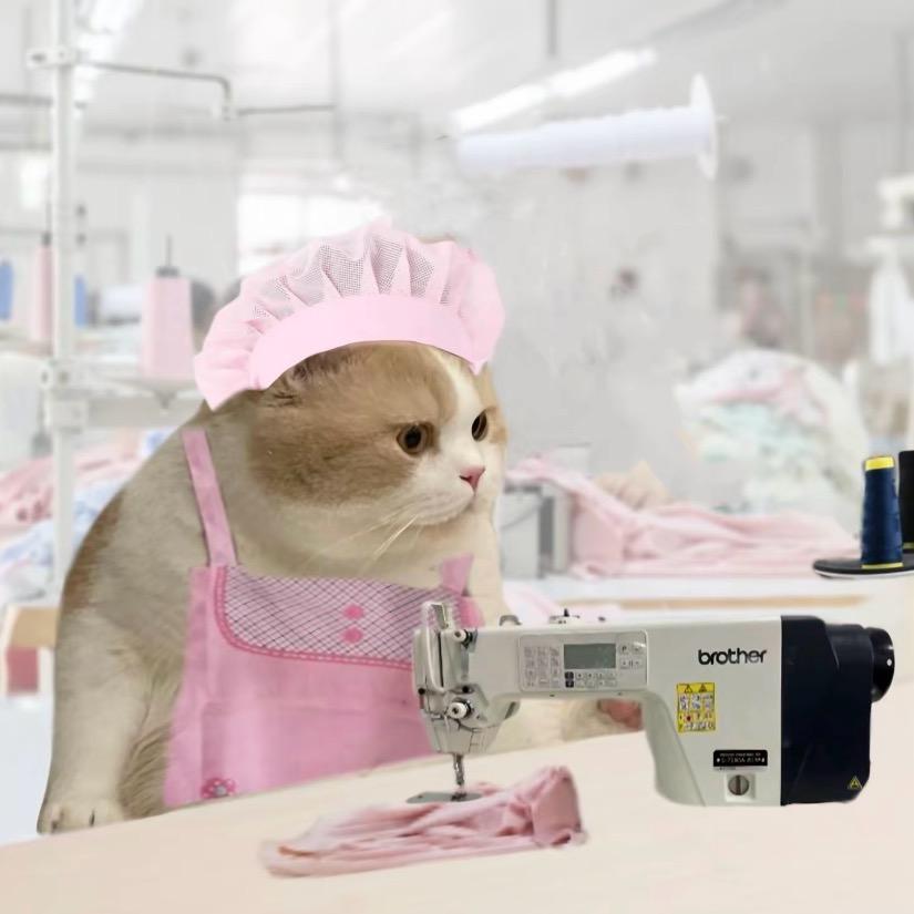 1602