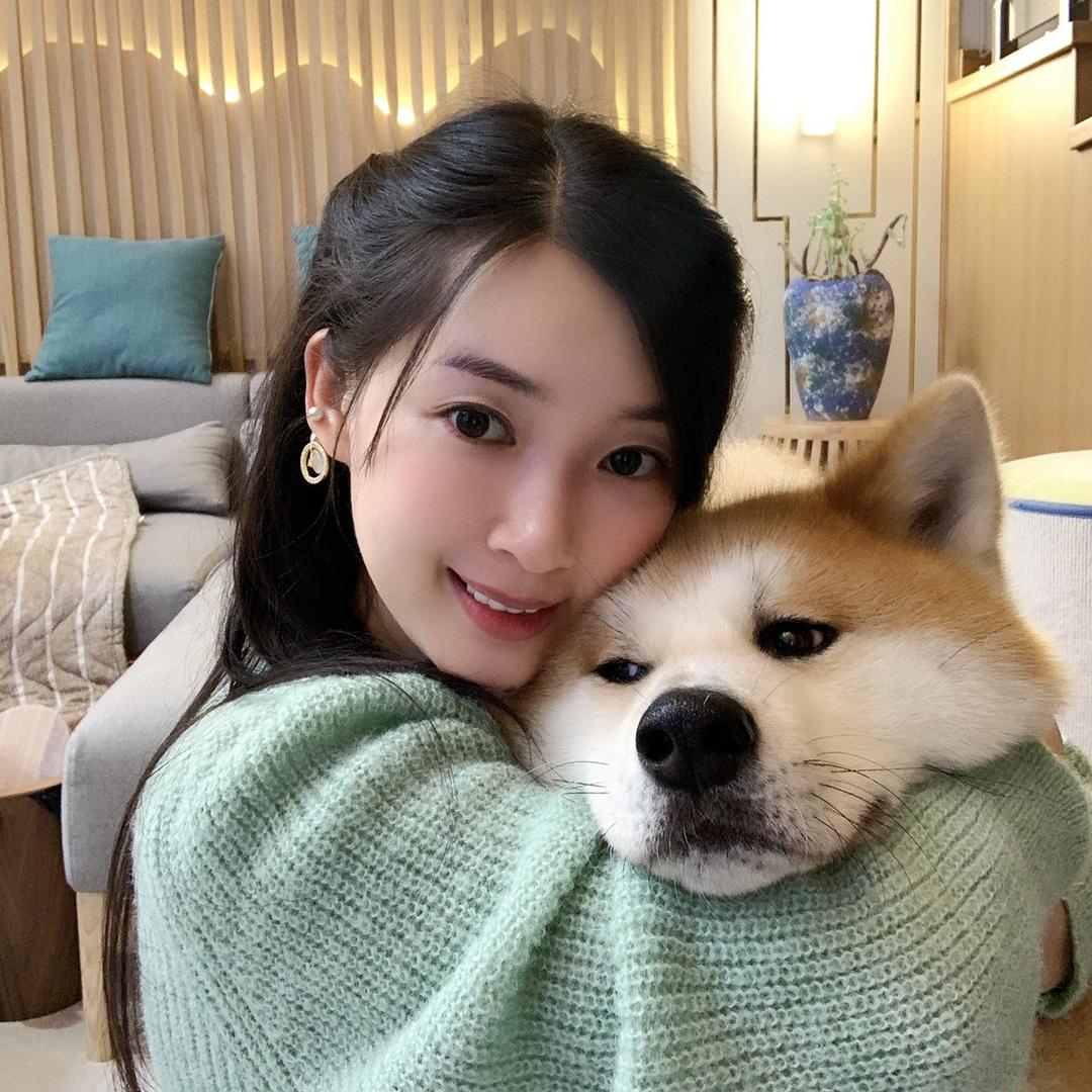 秋田犬聪聪