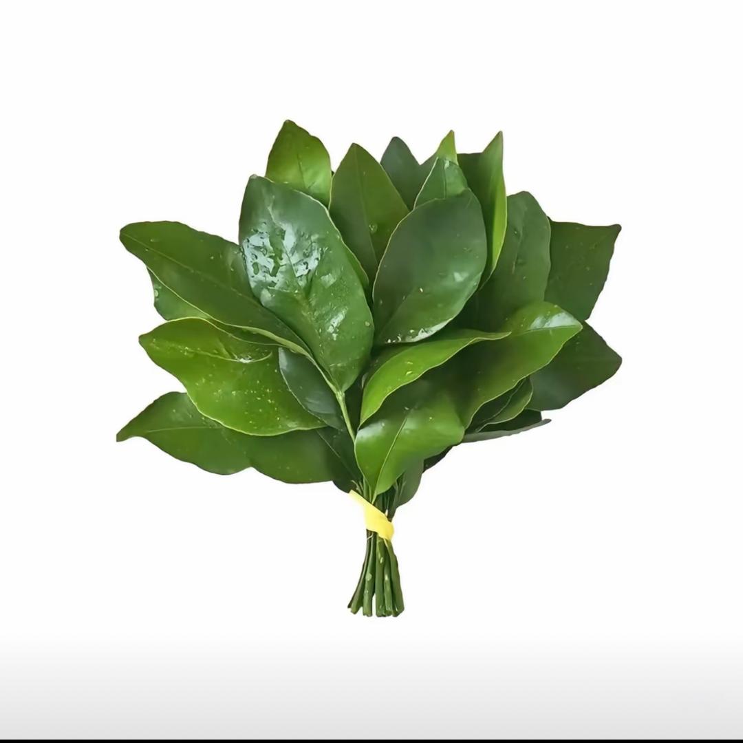 胖 胖