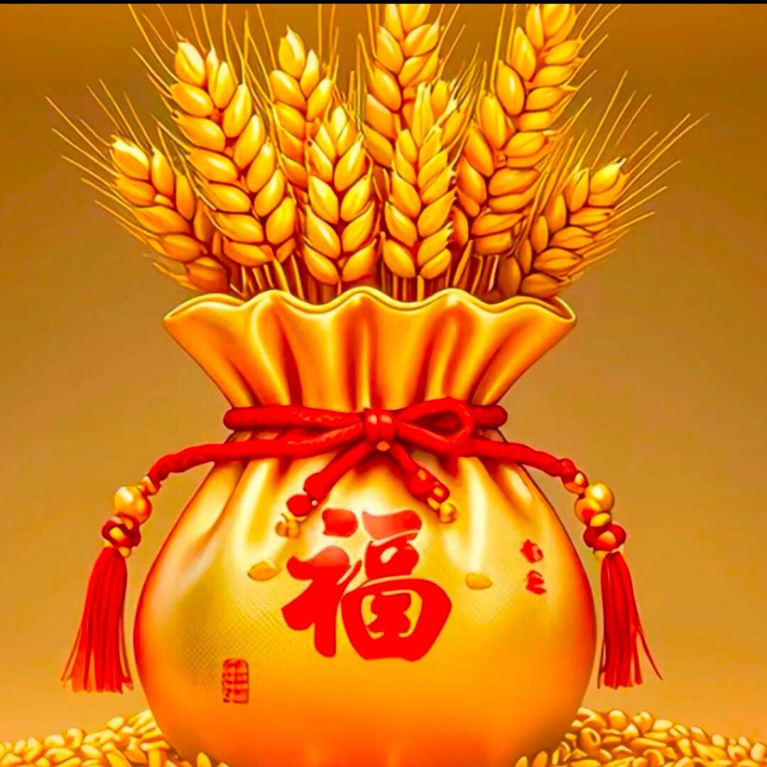 崔美美