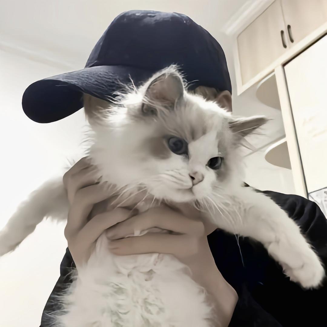 忽晚.