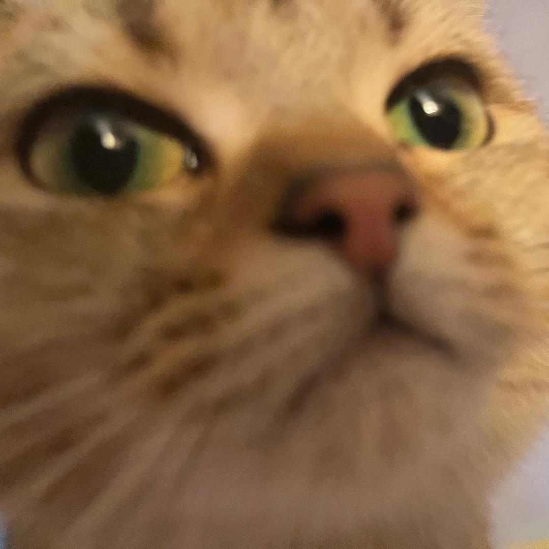 糖糖（好运来来来版）