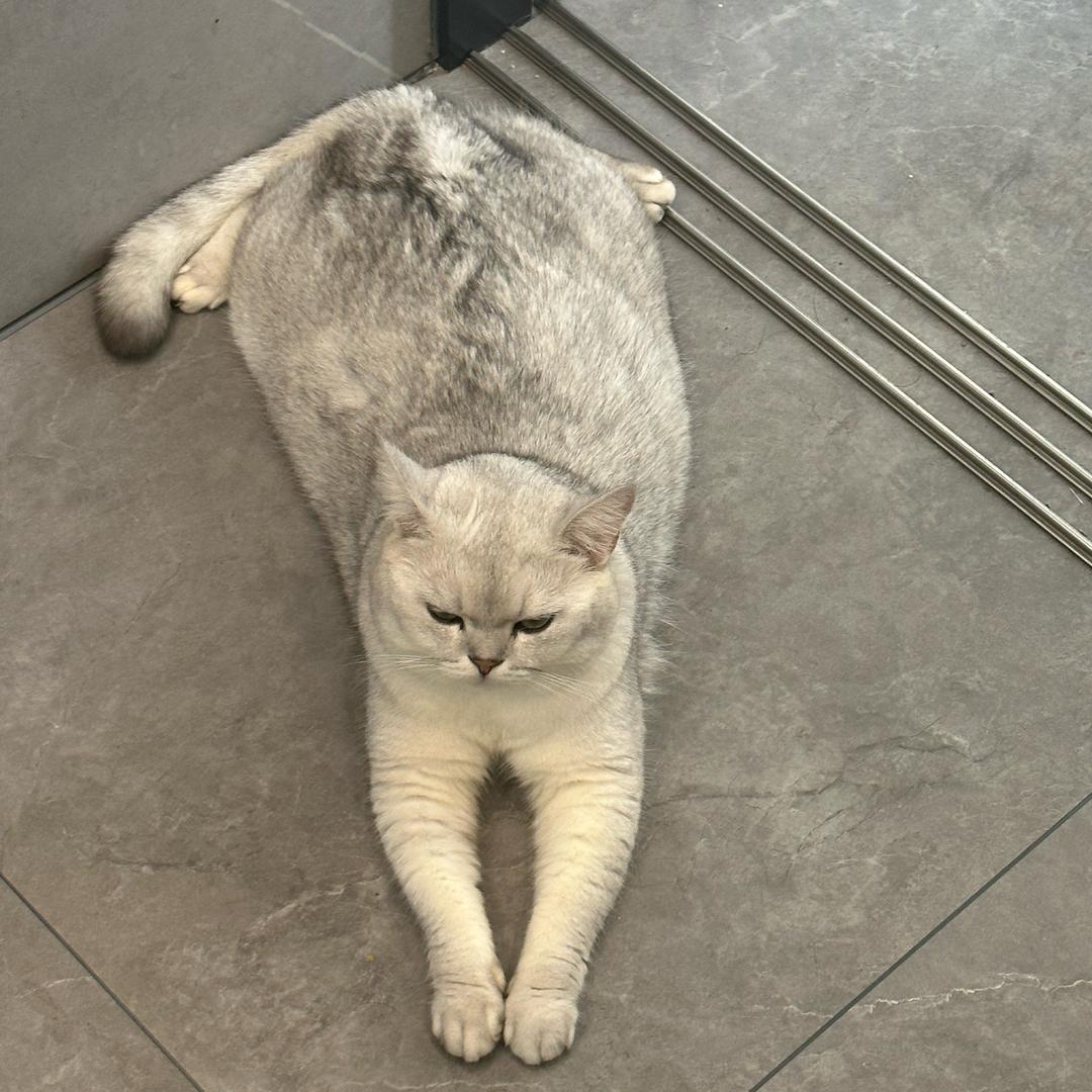 一块肉