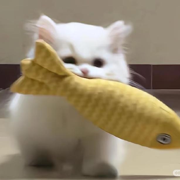 Ｔａｍi✨✨🌟