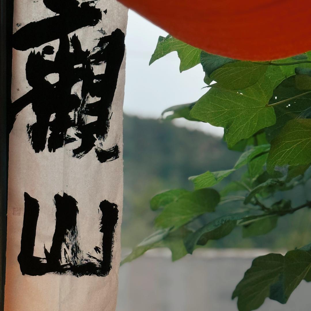 山月初上
