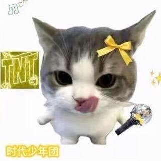 莉莉🔒小瑜(时代少年团全肯定)