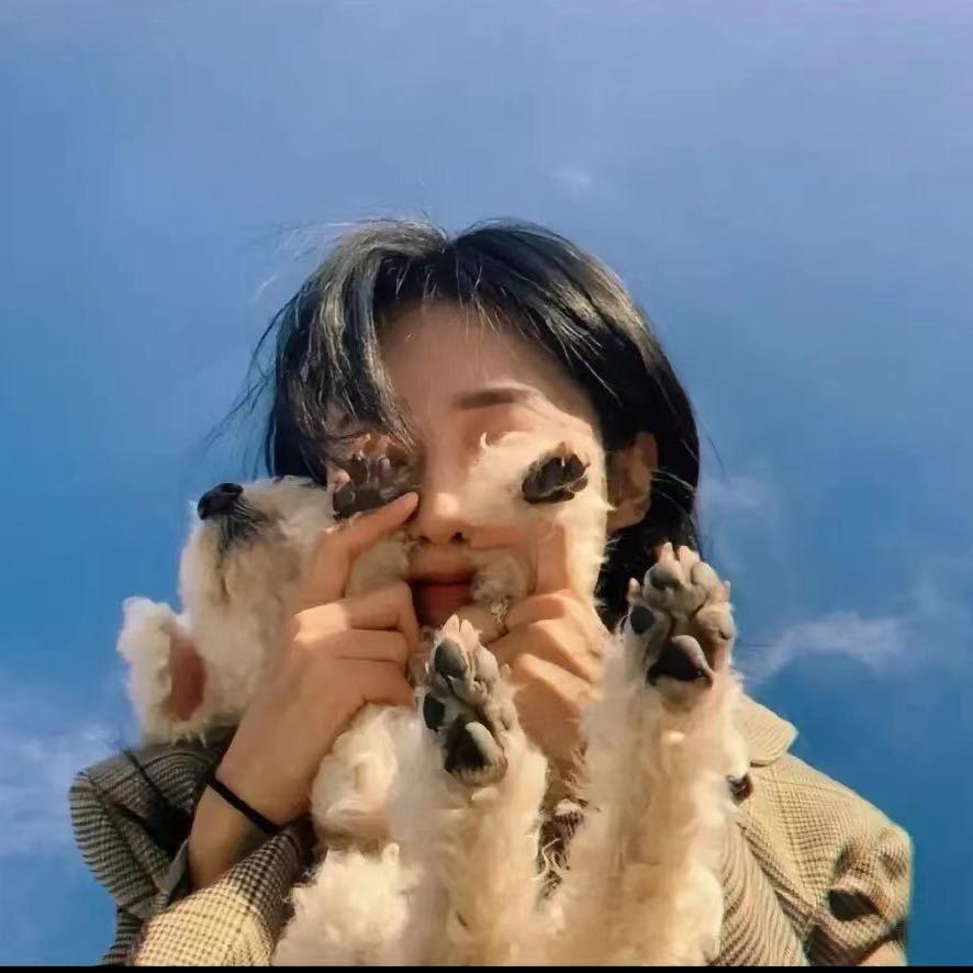 海里一只熊