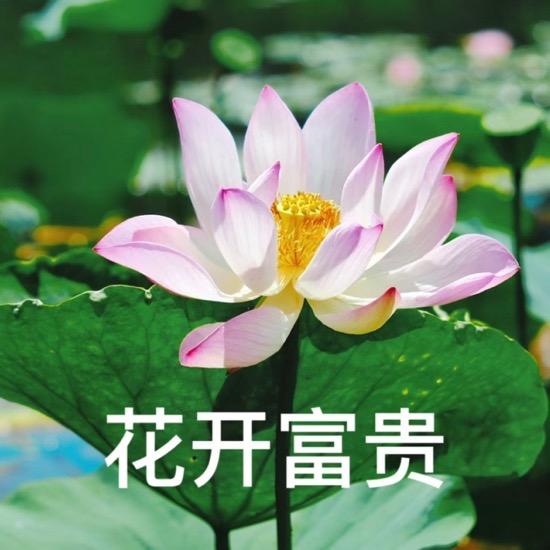 @、