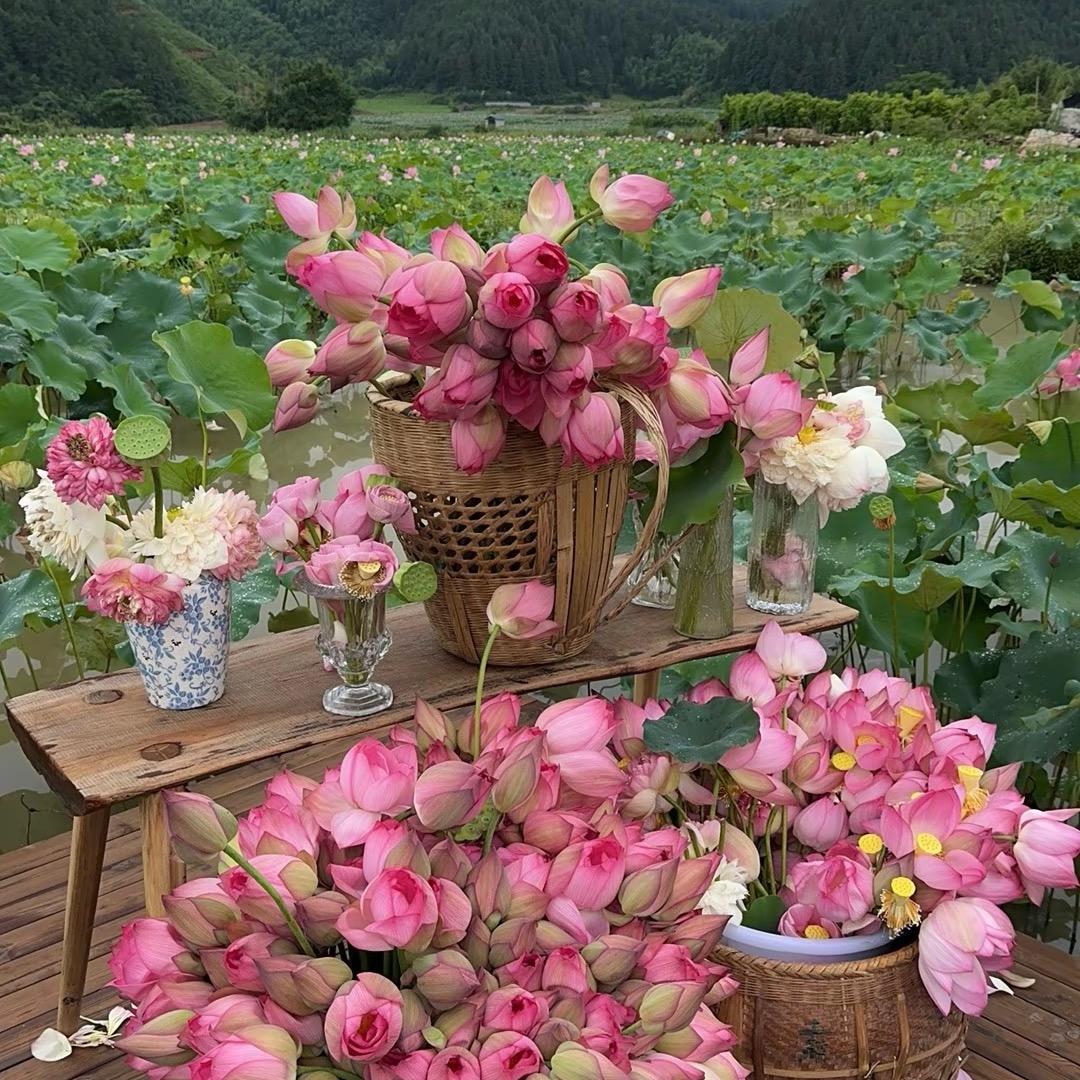 🍊🍋🍉🍇🍓🫐🍈🍒🍑🥝