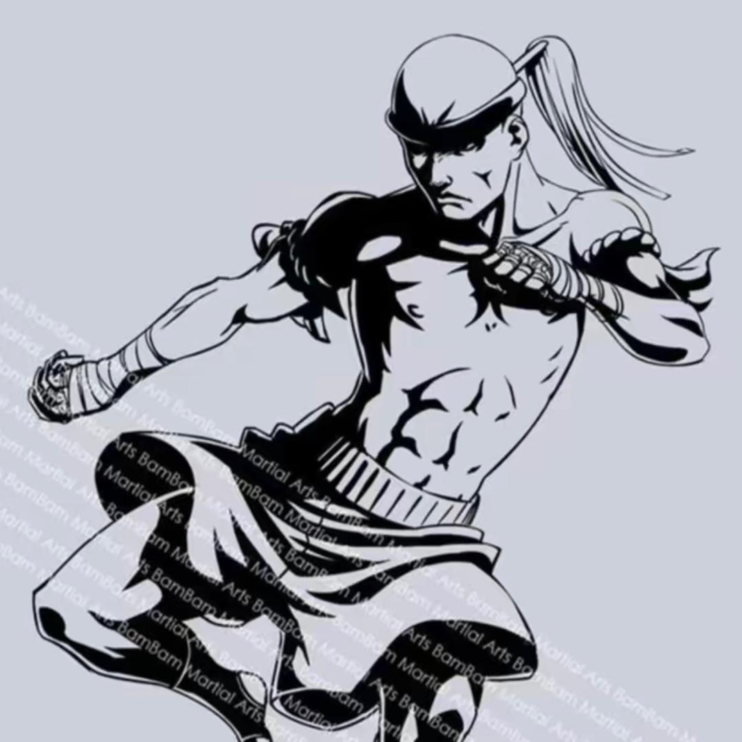 武术之王