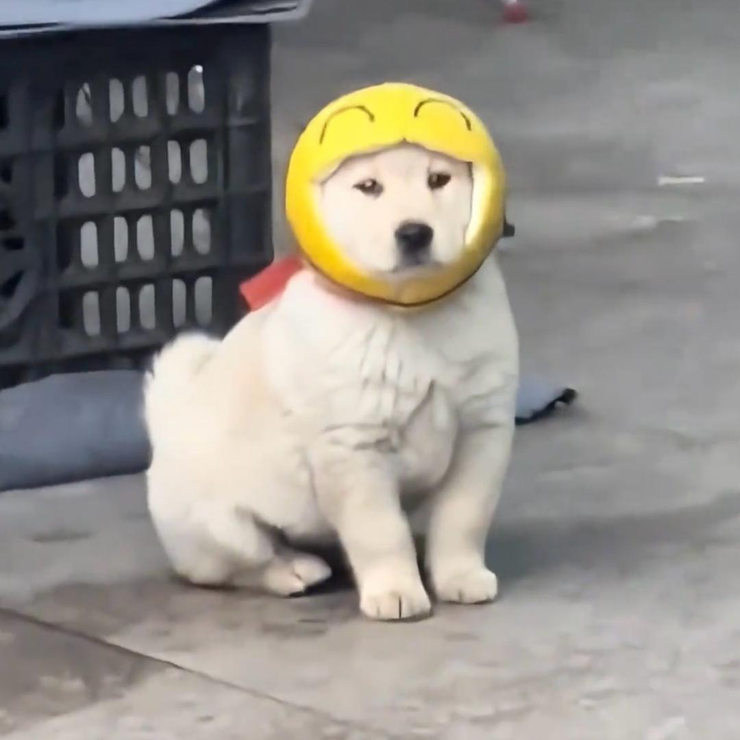 大大大大大King的K
