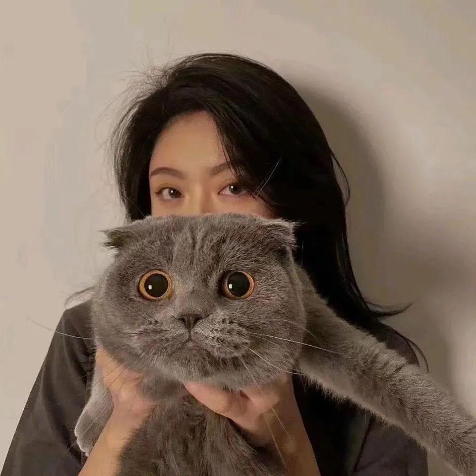 @蟹老板🎆
