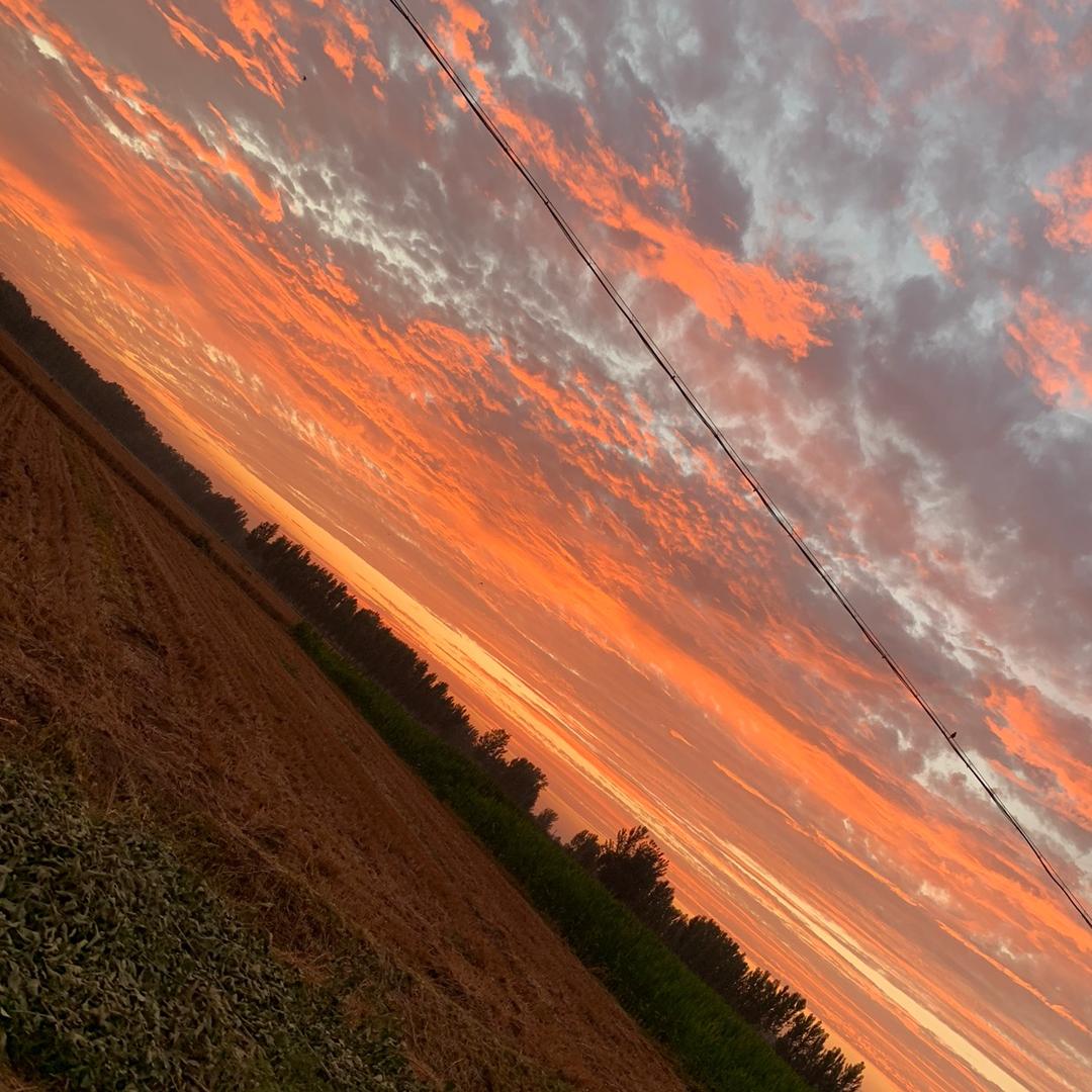 鱼跃龙门  一方