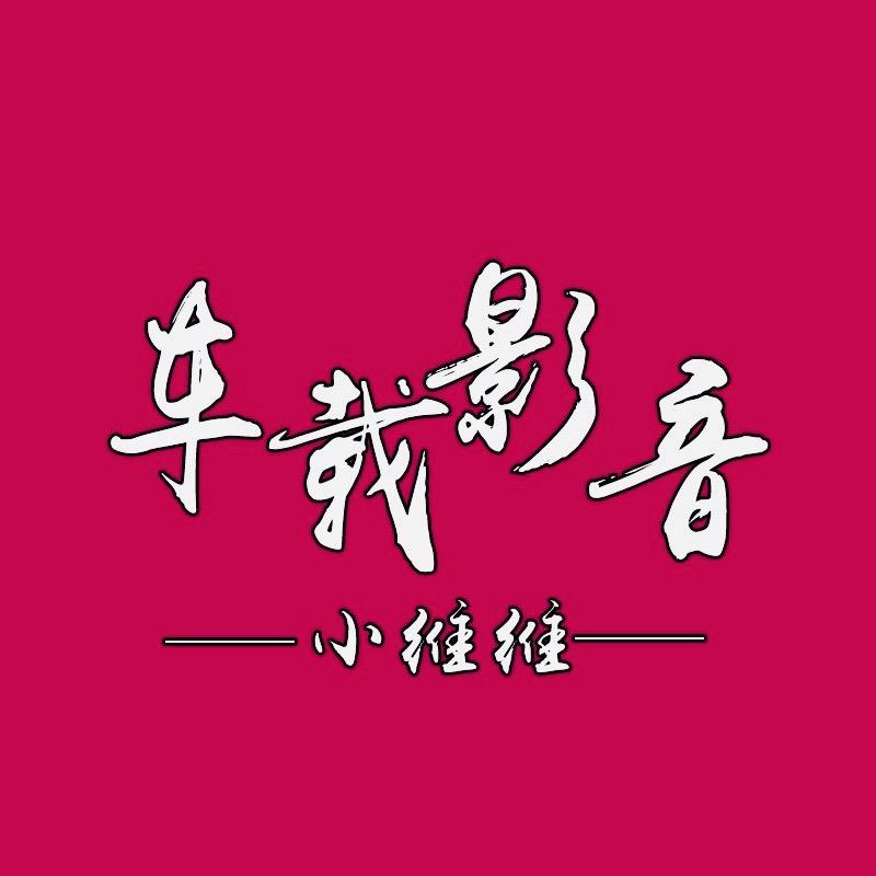 小维维车载Dj盘