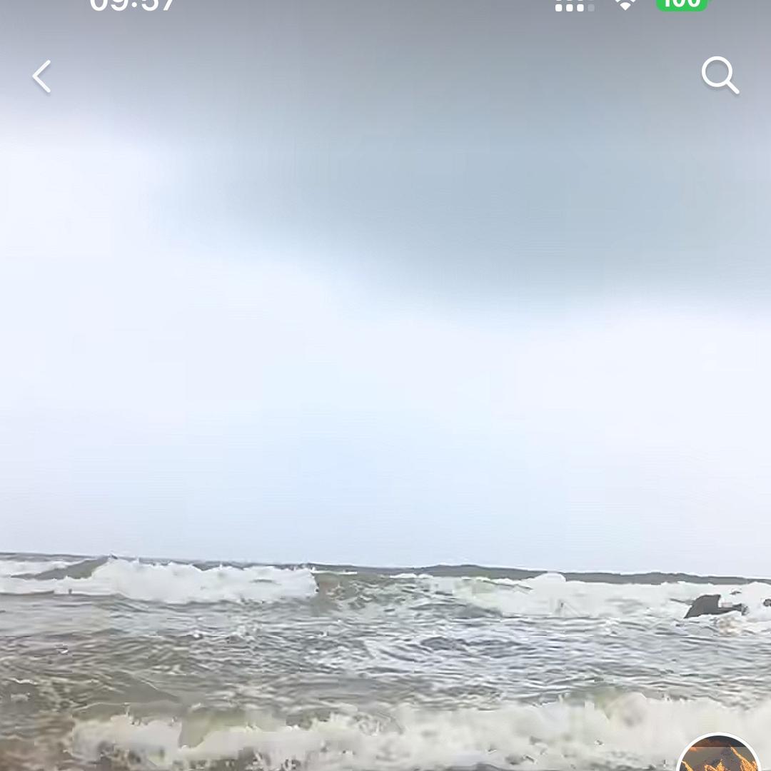 ₍₍ (̨̡ ‾ᗣ‾ )̧̢ ₎₎ 安好