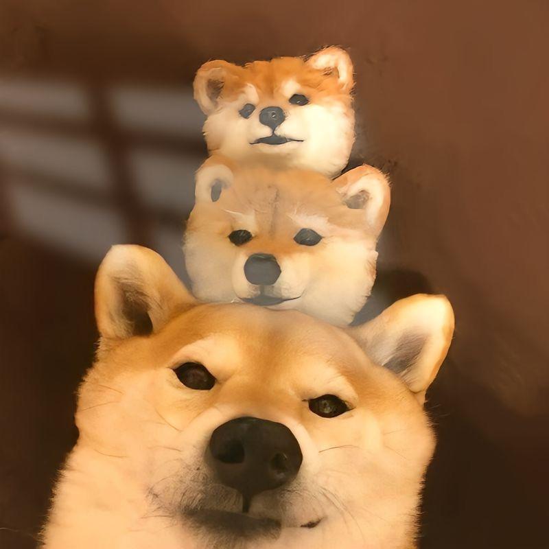 小松分享快乐