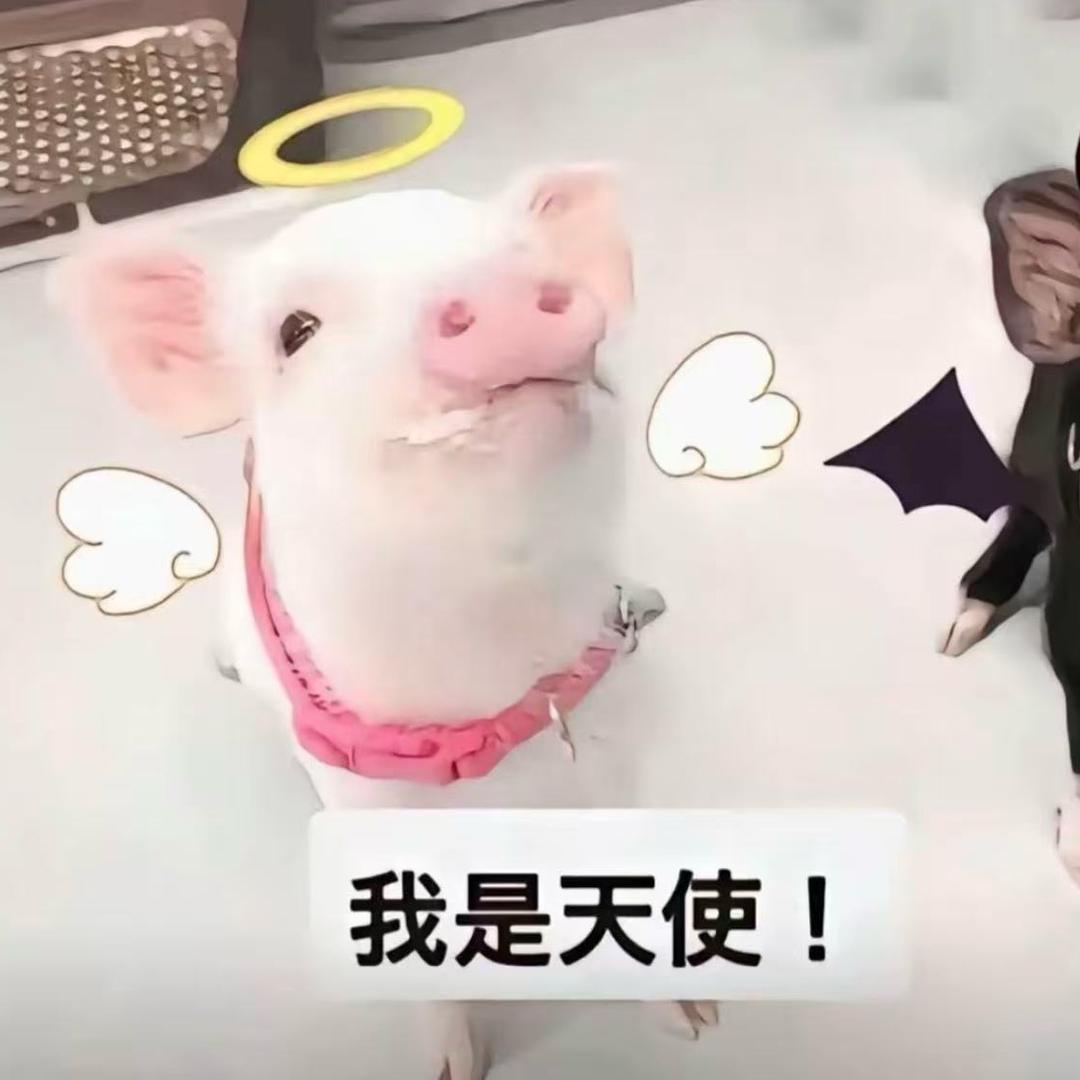 钉钉喵