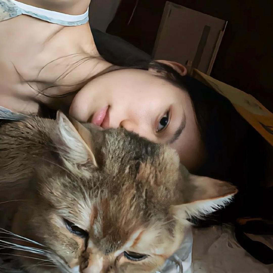 ㅤ  ㅤㅤㅤㅤ