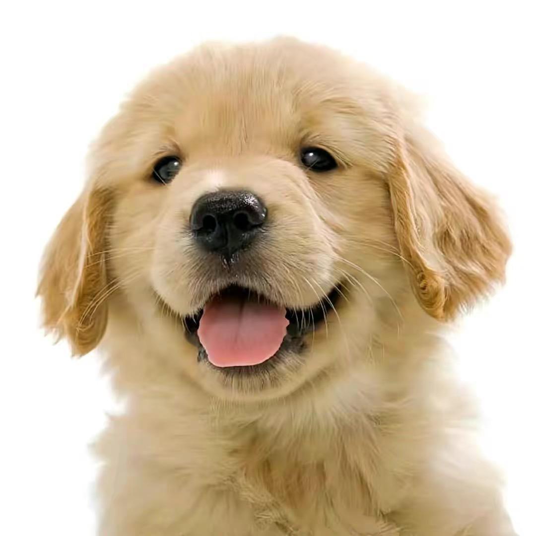 亚特兰蒂斯的一条鱼