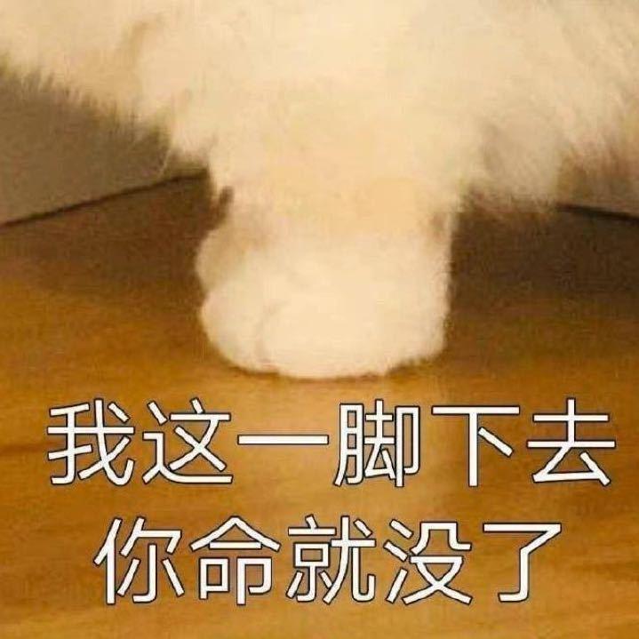 两顾