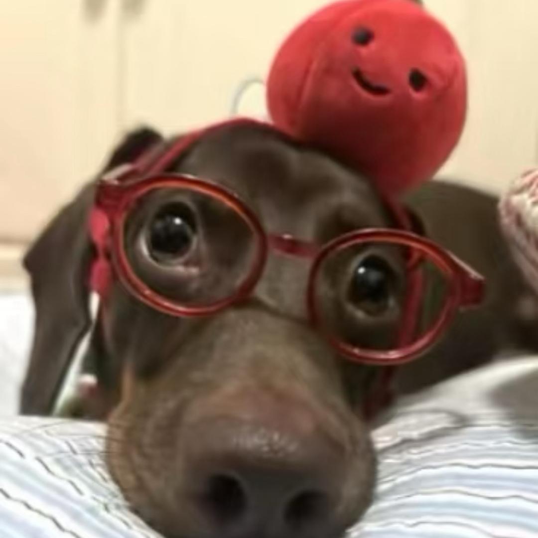 我从地狱回来了