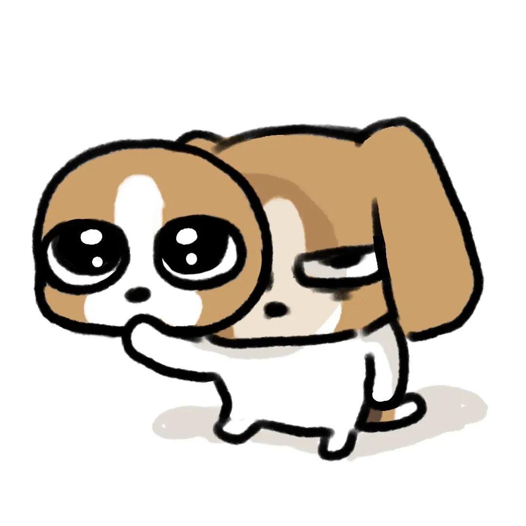 ddy