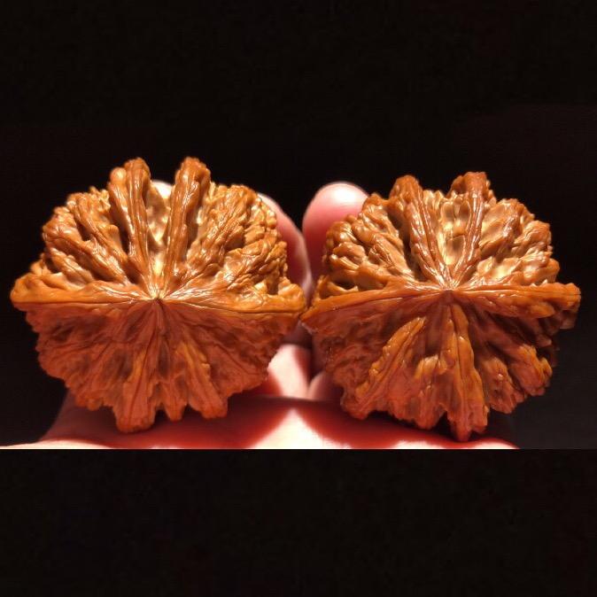 核桃阿振《表弟团队》