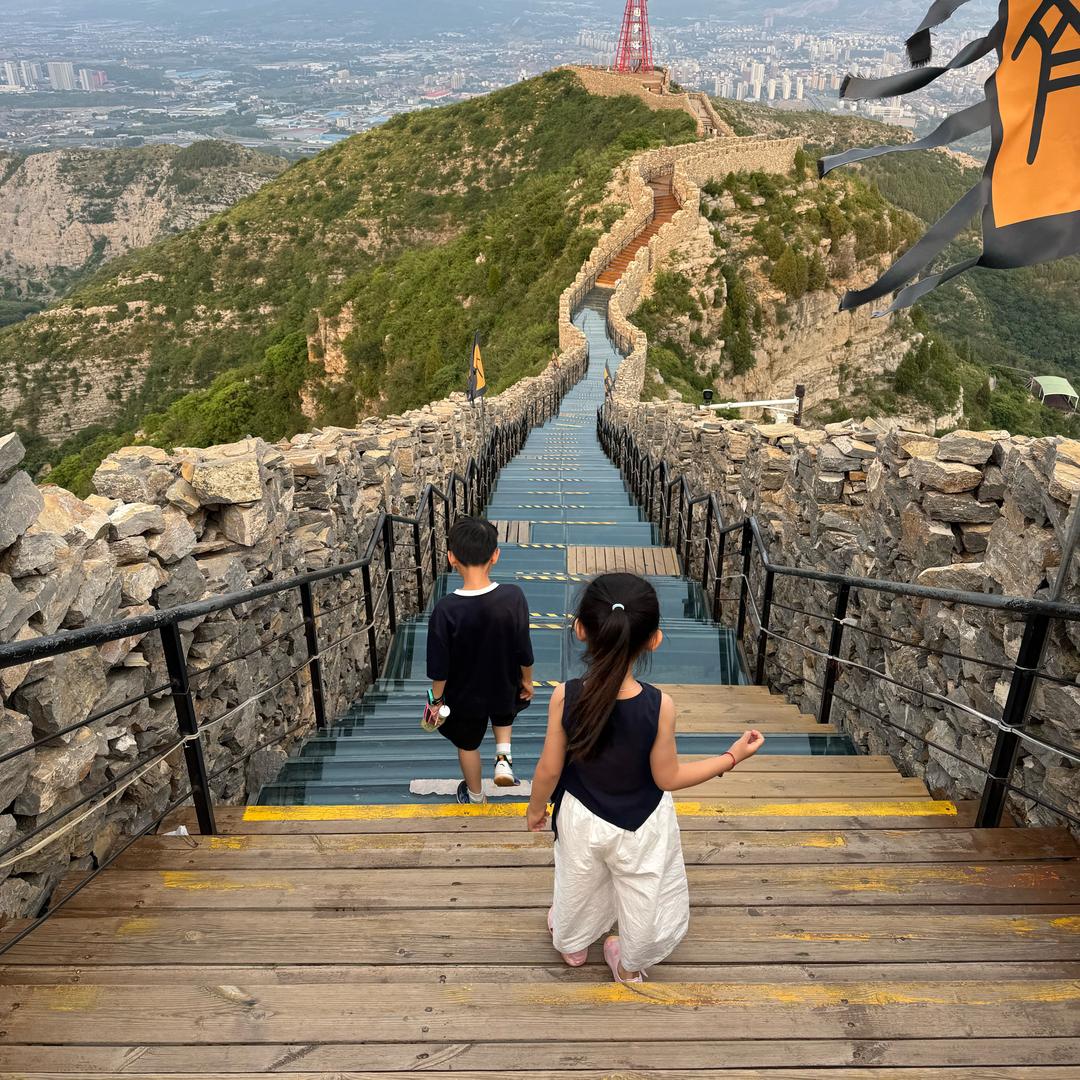 微山圣慕鹦鹉