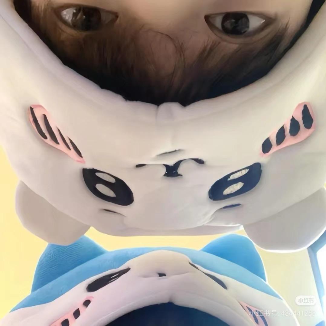 不会翘头的K