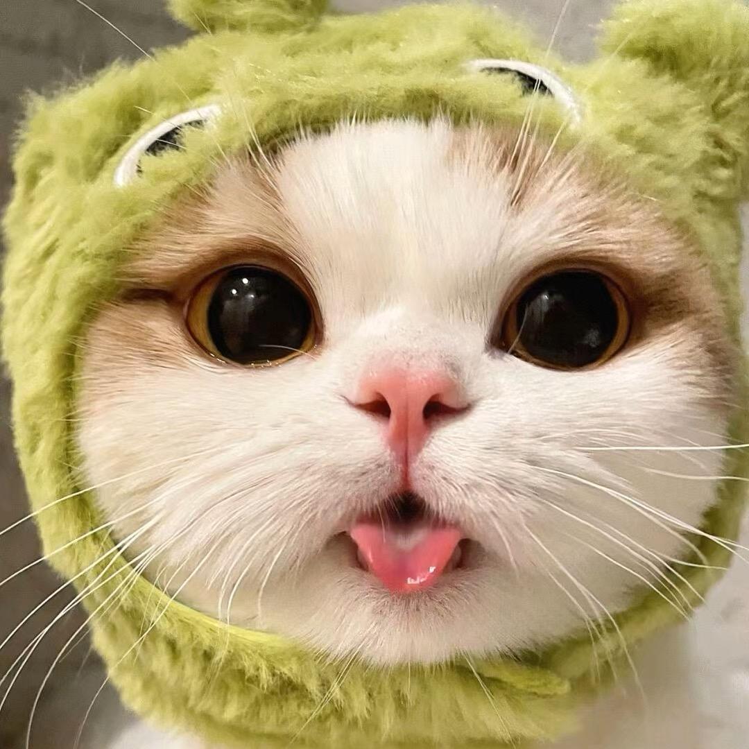 ྀ 喵酱^ω^先森  ྀ🐱